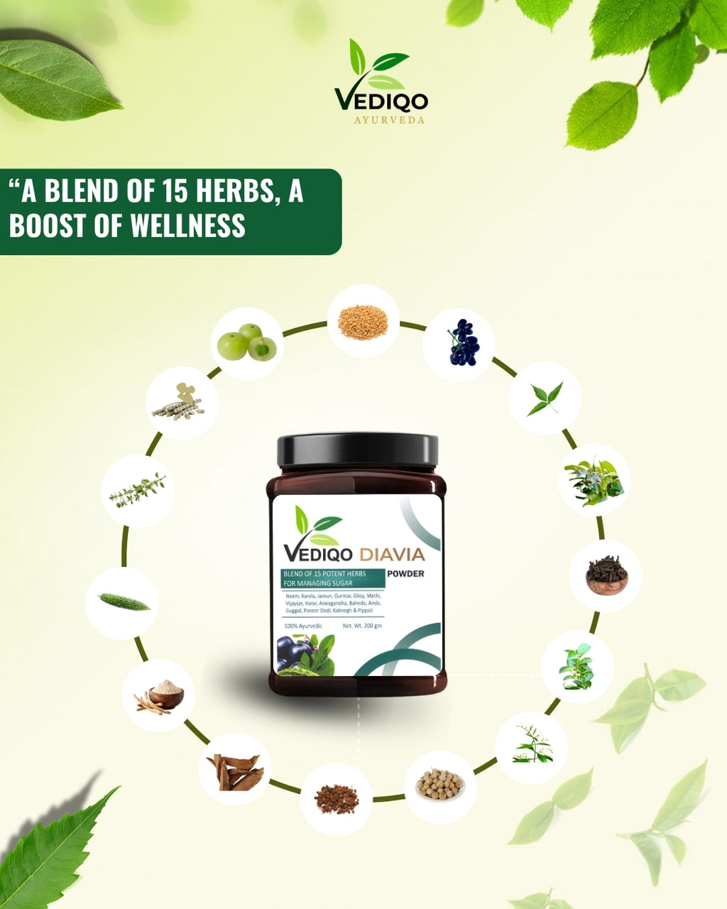 Diabetes Care Powder